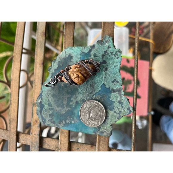 Fossil Shell, Carnelian Agate, WireWeavedUniques - Picture 9 of 9